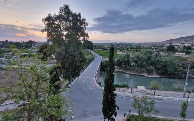 PREPARANDO LAS FIESTAS