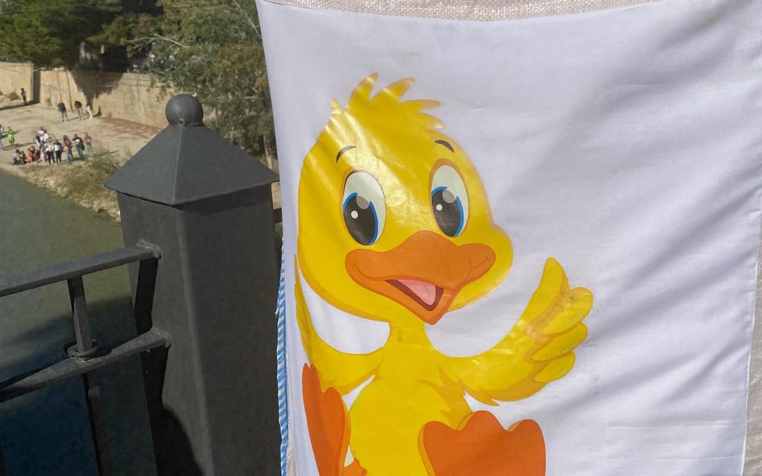 III Carrera solidaria de Patos de Goma.